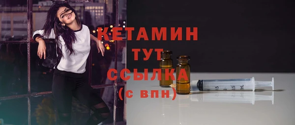 шишки Аркадак