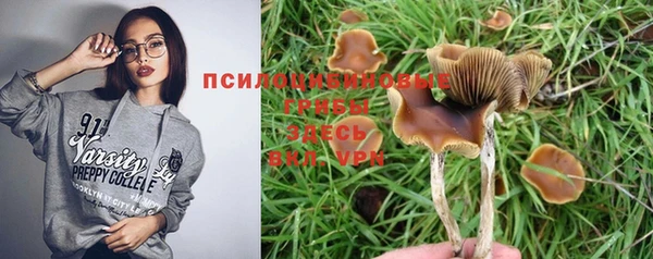 jwh Алзамай