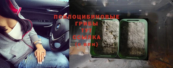 jwh Алзамай